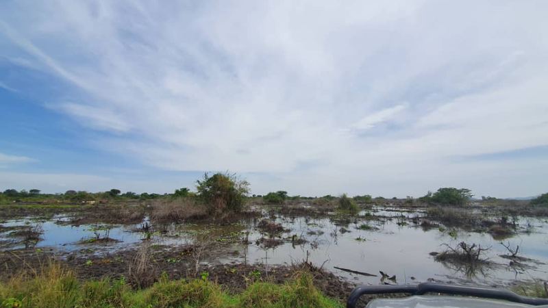 Habitat area managed as a biodiversity offset