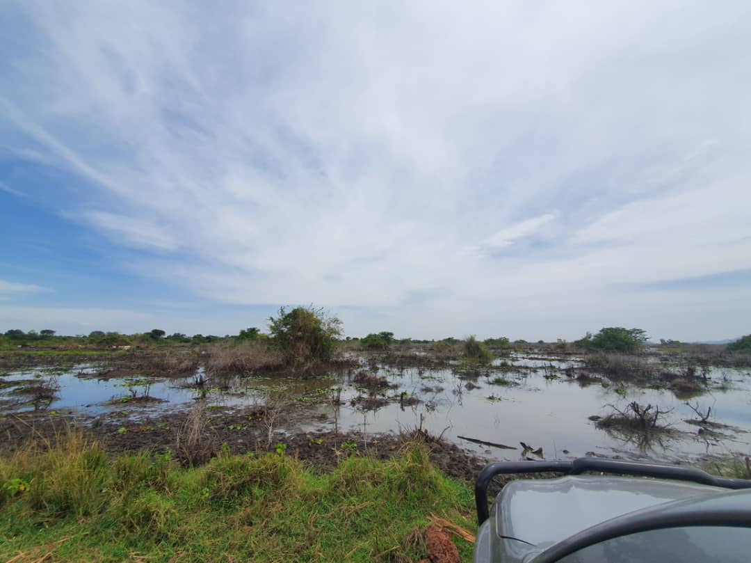 Climate, community and biodiversity studies Uganda