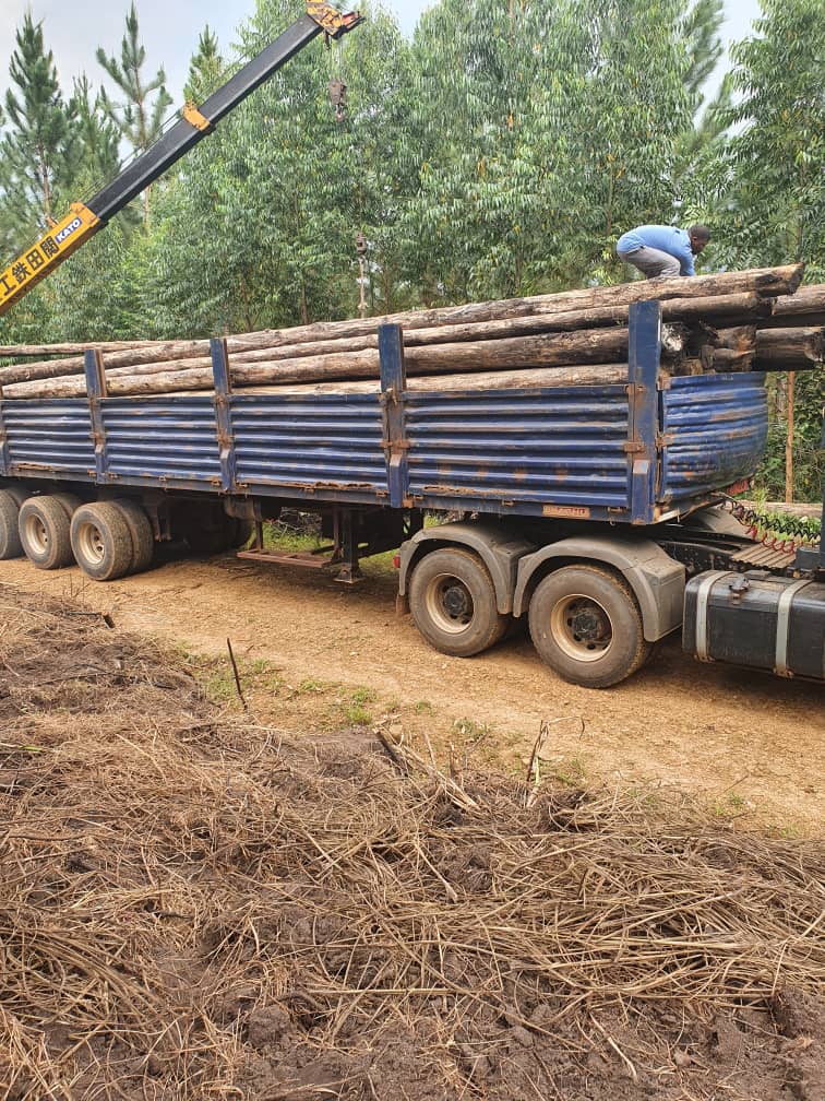 Environmental Consultants in Uganda — Euca Eco Consults Limited, Uganda
