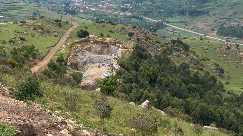 Forest investment returns Uganda commercial plantation