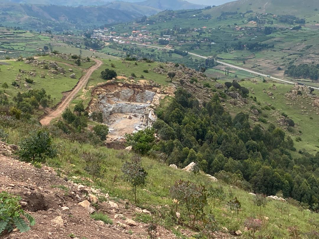 Forest investment returns Uganda