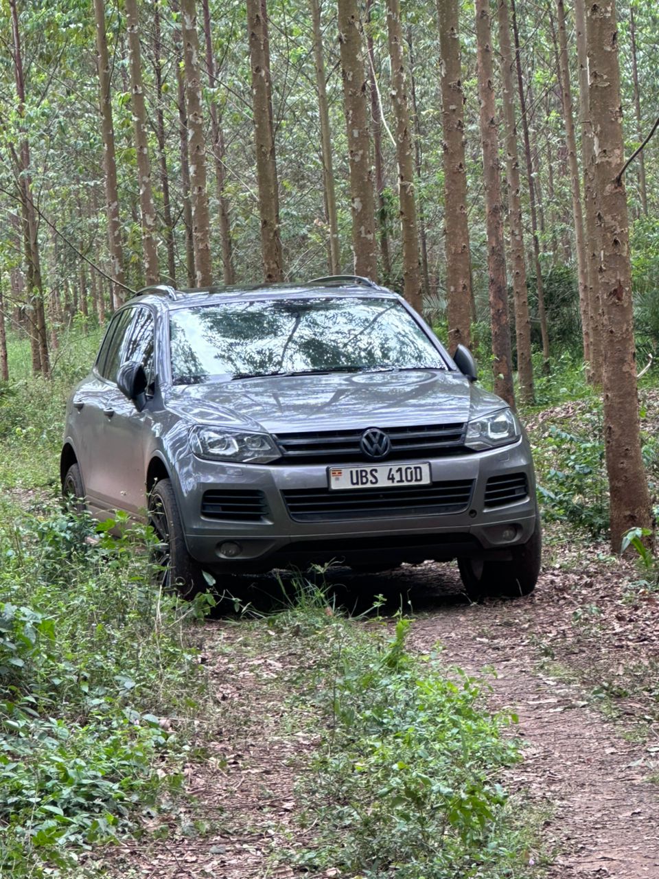 Forest plot in Uganda
