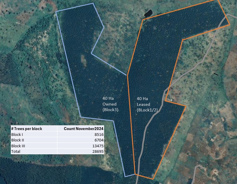 GIS remote sensing forestry Uganda